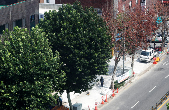 ‘목격자를 찾습니다’