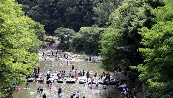 연휴 마지막 날 피서객 몰린 계곡
