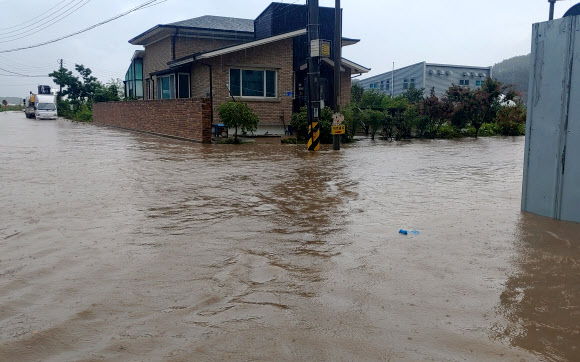 많은 비로 침수된 강릉 도심 도로