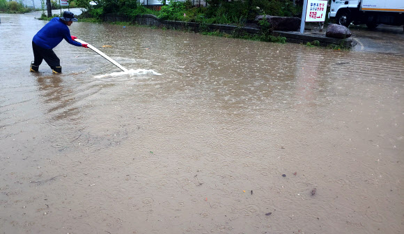 “배수구를 찾아라”