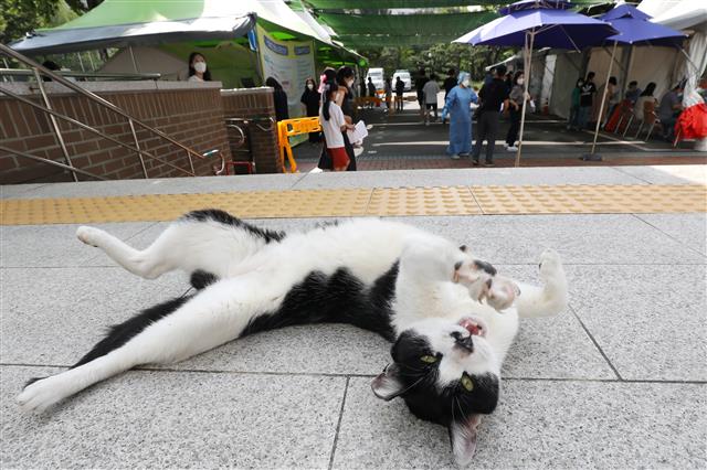 ‘위드 코로나 시대’ 다가오려나