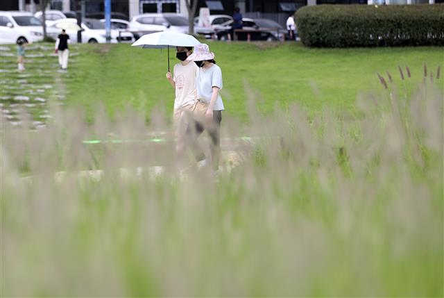 가을색으로 변하는 태화강 국가정원
