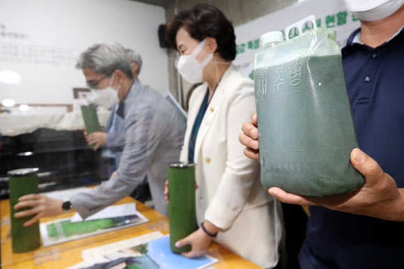 ‘낙동강에서 온 녹조라떼?’