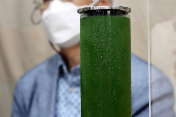 낙동강 수질 현황