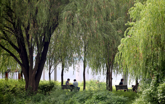 8월의 마지막 토요일, 여름빛 나들이
