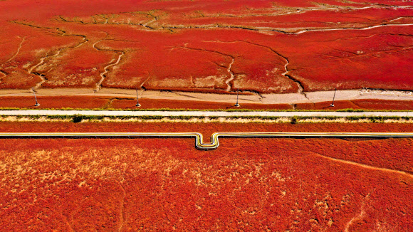 This aerial photo taken on August 27, 2021 shows a view of the Red Beach, so named due to the suaeda salsa plant which grows across the marshland landscape, in Panjin, China‘s northeastern Liaoning province. (Photo by STR / AFP) / China OUT/2021-08-30 14:09:18/ <연합뉴스