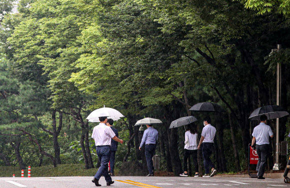 늦여름 비가 내린 31일 오전 서울 서초구 서초동 대검찰청에서 점심시간을 맞은 검찰 직원들이 우산을 쓰고 이동하고 있다.  2021.8.31 연합뉴스