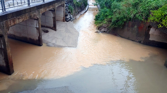 강릉 하천으로 유입되는 흙탕물