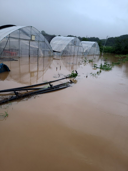 물에 잠긴 농경지