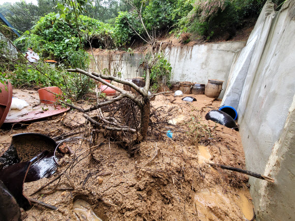 뒷마당까지 흘러내린 토사