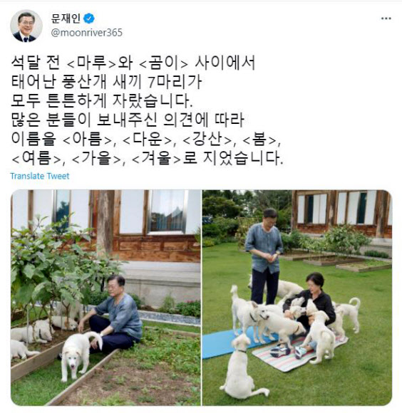 청와대, 북한 선물 풍산개 새끼 이름 공개