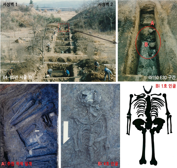 1985년 시굴 조사에서 출토된 인골. 문화재청 제공