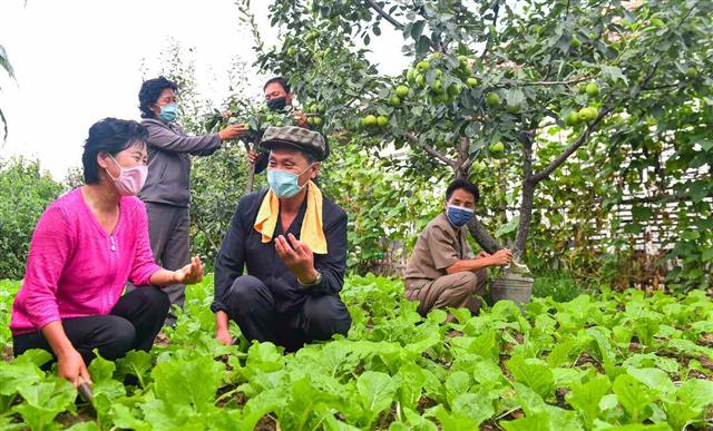 북한 노동당 기관지 노동신문은 7일 당 일꾼들이 인민의 곁으로 더 가까이 다가가라고 강조했다. 신문은 “당 일꾼들은 온 넋을 깡그리 불태우며 혼심을 바쳐야 한다”라고 말했다.  평양 노동신문 뉴스1