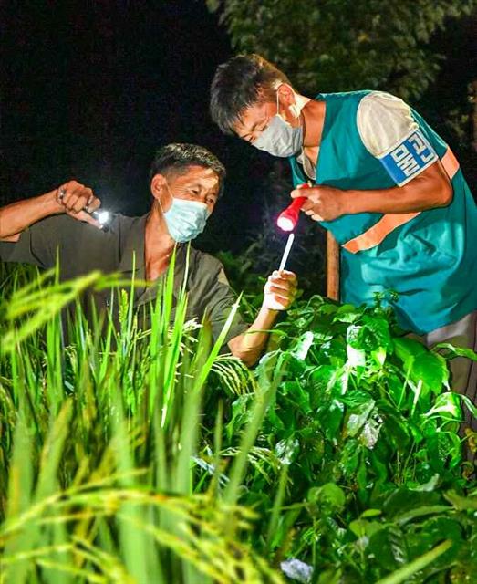 북한 노동당 기관지 노동신문은 7일 “오늘의 하루하루에 알곡생산의 성과 여부가 달려 있다”라고 말했다. 신문은 ‘지상연단’이라는 캠페인성 기사를 통해 올해 농업 성과의 중요성을 거듭 부각했다. 평양 노동신문 뉴스1