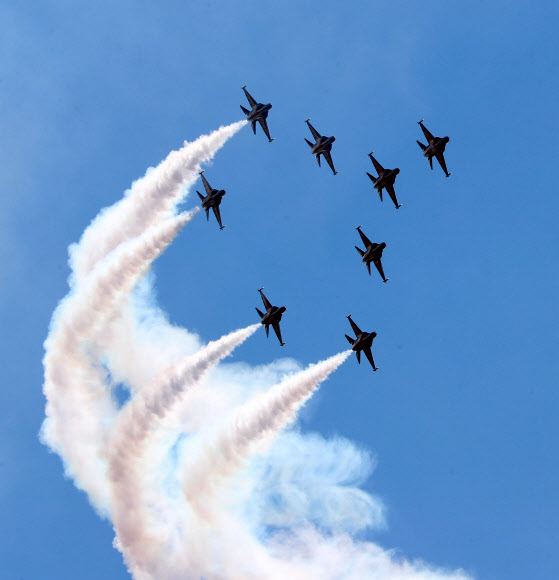 에어쇼 펼치는 블랙이글스