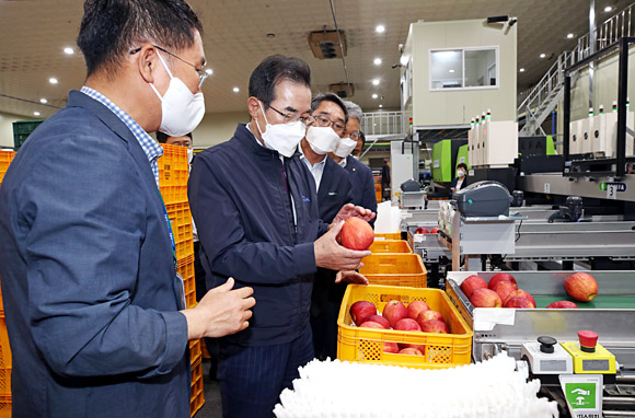 이성희(왼쪽 두 번째) 농협중앙회장이 충북원예농협 산지유통센터에서 수급 상황을 점검하고 있다. 농협 제공