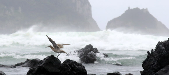 태풍 북상에 거세진 파도