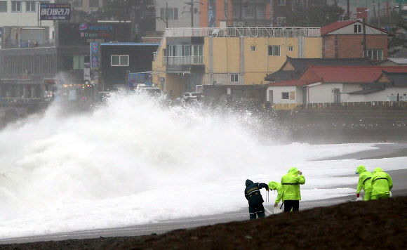 태풍이 몰고 온 파도