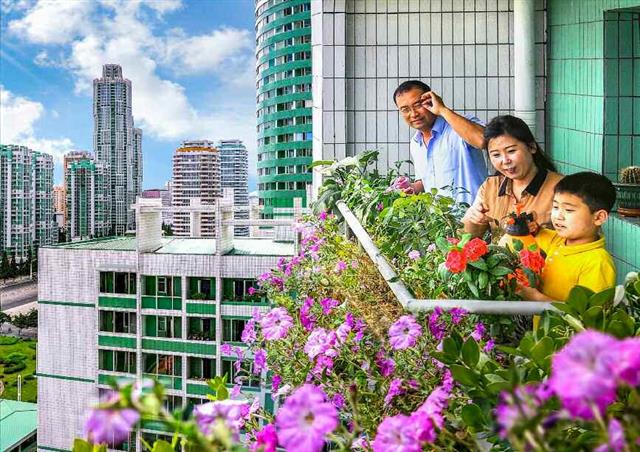 북한 “모든 가정을 사회주의 생활문화 모범가정으로”