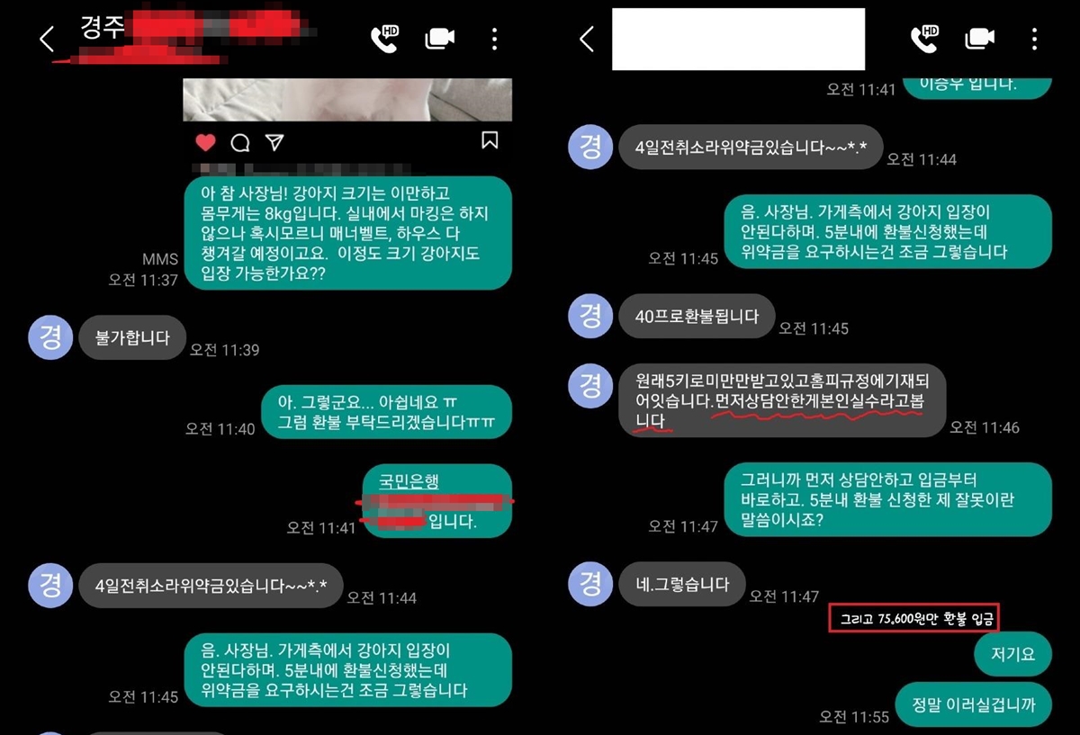 경주 애견펜션 환불 논란