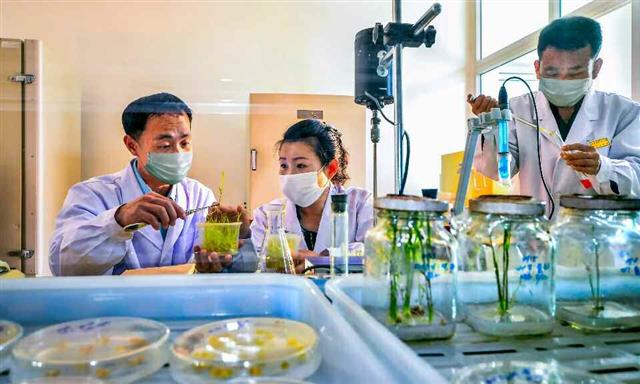 북한 노동당 기관지 노동신문은 23일 “과학자의 삶은 개척의 한생”이라며 관련 사진을 실었다. 사진은 농업연구원 벼연구소 연구진들의 모습.  평양 노동신문 뉴스1