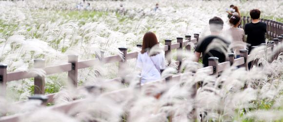 26일 대구 달서구 대명 유수지에서 시민들이 깊어가는 가을을 만끽하며 산책하고 있다. 2021.9.26  연합뉴스