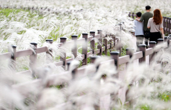 26일 대구 달서구 대명 유수지에서 시민들이 깊어가는 가을을 만끽하며 산책하고 있다. 2021.9.26  연합뉴스