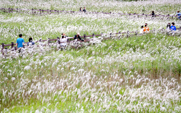 26일 대구 달서구 대명 유수지에서 시민들이 깊어가는 가을을 만끽하며 산책하고 있다. 2021.9.26  연합뉴스