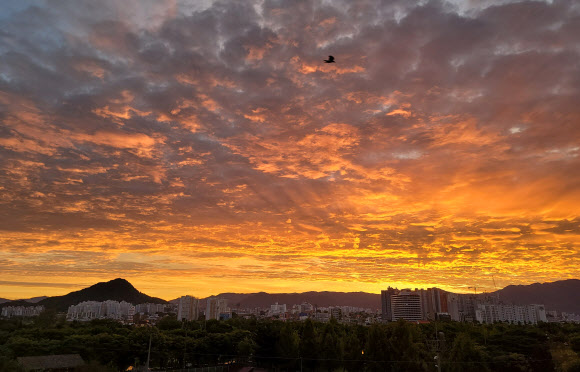 타오르는 춘천 하늘