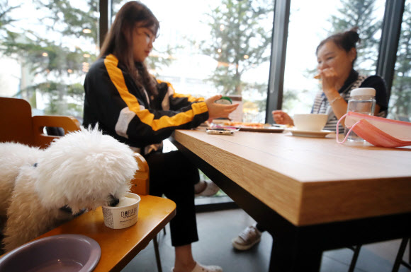 ‘반려견과 함께 식사해요’