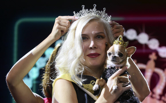 주인과 함께한 반려견이 28일(현지시간) 모스크바 국제 비즈니스 센터의 연방 타워에서 2021년 골든 펫 어워드를 수여하는 기념식에서 포즈를 취하고 있다. 타스 연합뉴스