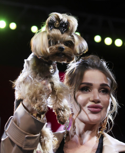 주인과 함께한 반려견이 28일(현지시간) 모스크바 국제 비즈니스 센터의 연방 타워에서 2021년 골든 펫 어워드를 수여하는 기념식에서 포즈를 취하고 있다. 타스 연합뉴스