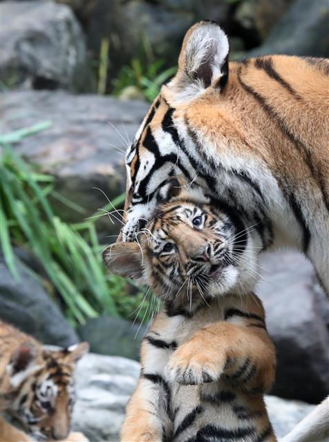 ‘더 놀고 싶어요’