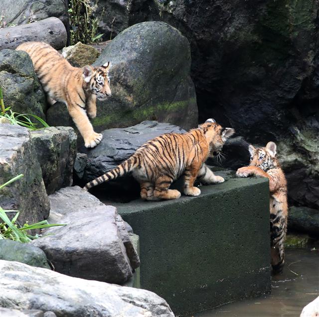 ‘너도 들어와’