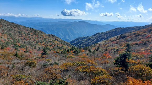 설악산 단풍 시작