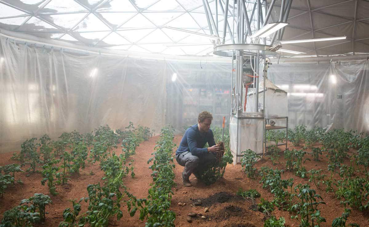 화성에서 감자 뿐만 아니라 식물 키우기 위해 반드시 필요한 것은?
