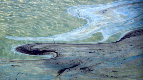 미국 캘리포니아주 남부 해안에서 대규모 기름 유출 사고가 발생해 물고기 등이 폐사하고 해수욕장이 무기한 문을 닫았다. 로이터 연합뉴스