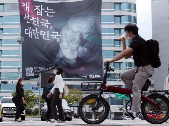 5일 서울 마포구 동교동 로터리 한 빌딩에 동물보호단체인 ‘동물해방물결’이 내건 개 식용 금지 대형 현수막이 보인다. 2021.10.5  연합뉴스