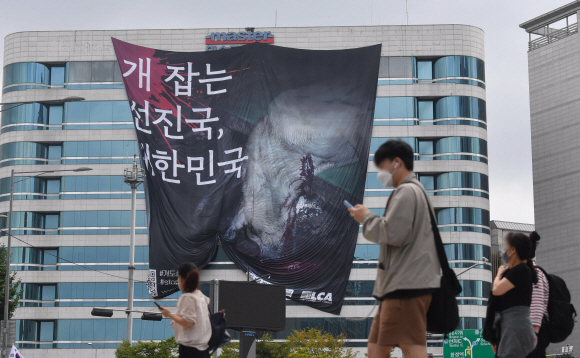 지난해 10월 5일 서울 마포구 동교동삼거리의 한 빌딩에 동물해방물결과 국제동물권단체 LCA(Last Chance for Animals)가 내건 개 식용 금지를 촉구하는 ‘개 잡는 선진국 대한민국’ 대형 현수막이 걸려 있다. 박지환기자 popocar@seoul.co.kr
