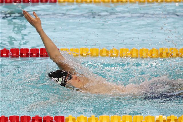 배영 앞서 나가는 황선우