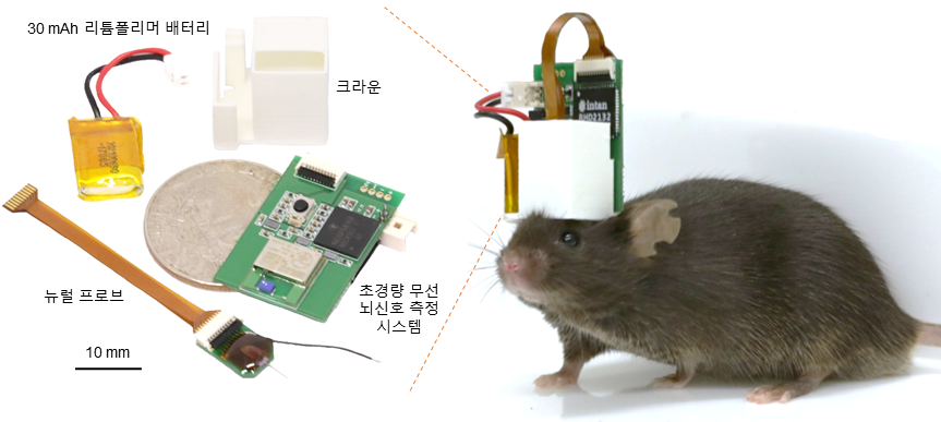 초경량 무선 뇌 신호 측정 시스템과 이를 장착한 생쥐