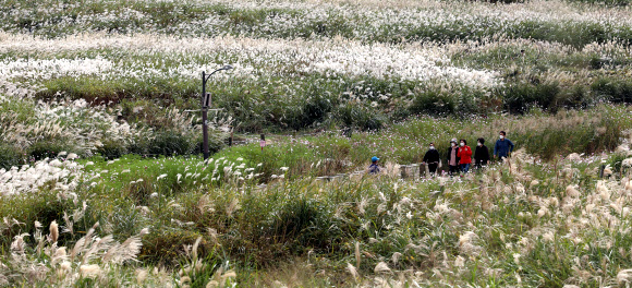 하늘공원, 야간 개장 안해요