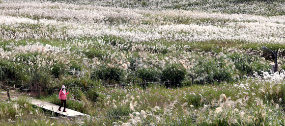 하늘공원, 야간 개장 안해요