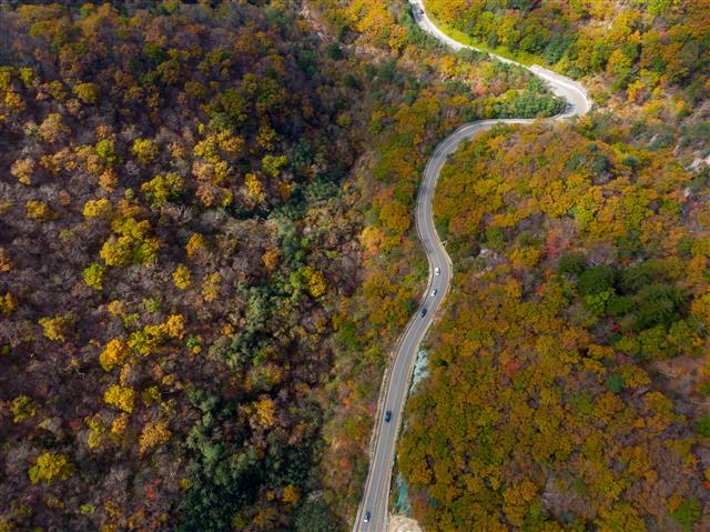 드라이브하기 좋은 날