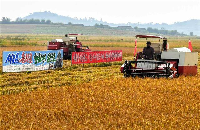 북한 노동당 기관지 노동신문은 16일 “황해남도에서 벼 가을걷이와 낟알털기가 본때 있게 벌어지고 있다”며 15일 기준으로 실적이 80% 계선을 돌파했다고 보도했다.  평양 노동신문 뉴스1