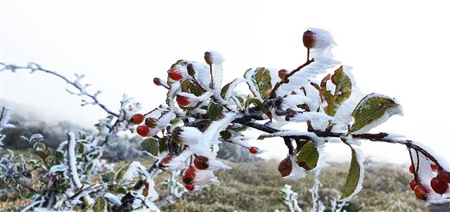 얼어붙은 한라산