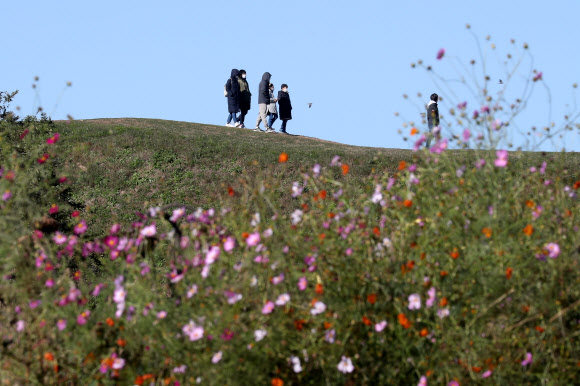 코스모스와 패딩