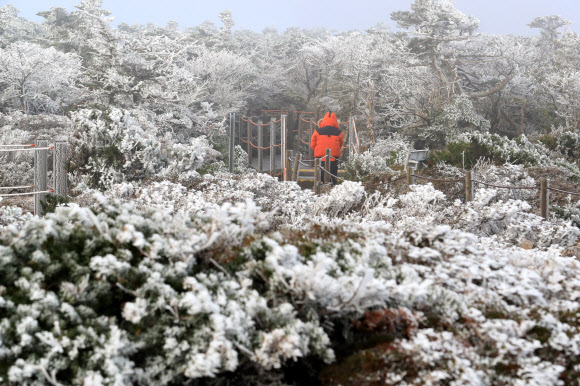 한라산은 이제 겨울왕국