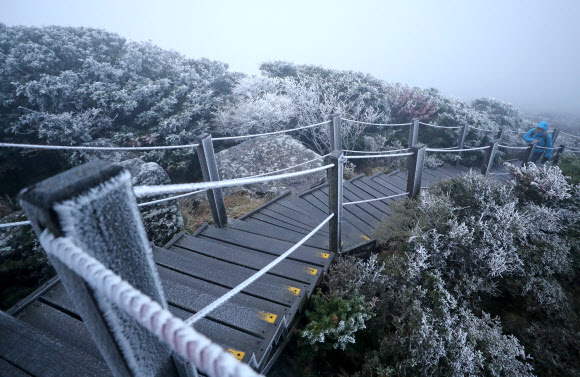 한라산 윗세오름 주변에 올 가을 첫 상고대. 연합뉴스 