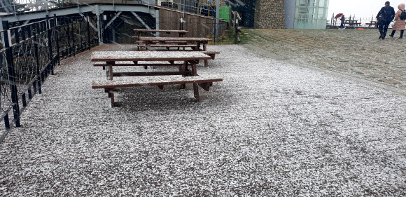 “눈이 왔어요” 첫눈 내린 발왕산